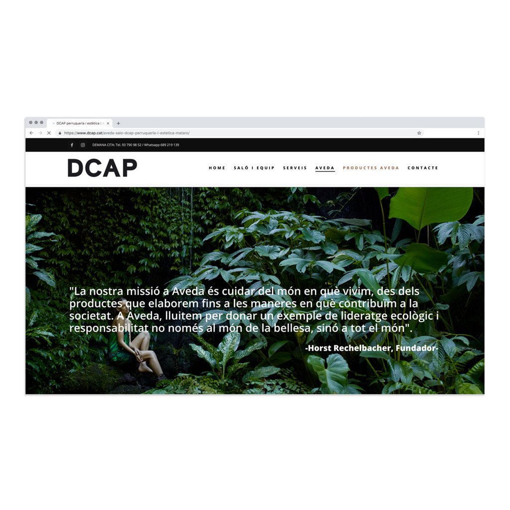 Web Dcap.cat 4